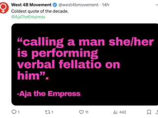 Captura de pantalla 2024 11 12 a las 7.05.04 p.m